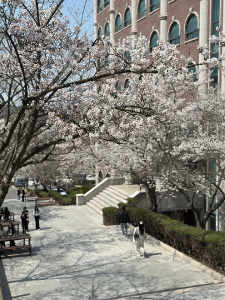 2025년 4월의 백석문화대학교 캠퍼스 대표이미지