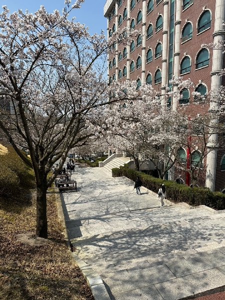 2025년 4월의 백석문화대학교 캠퍼스 대표이미지