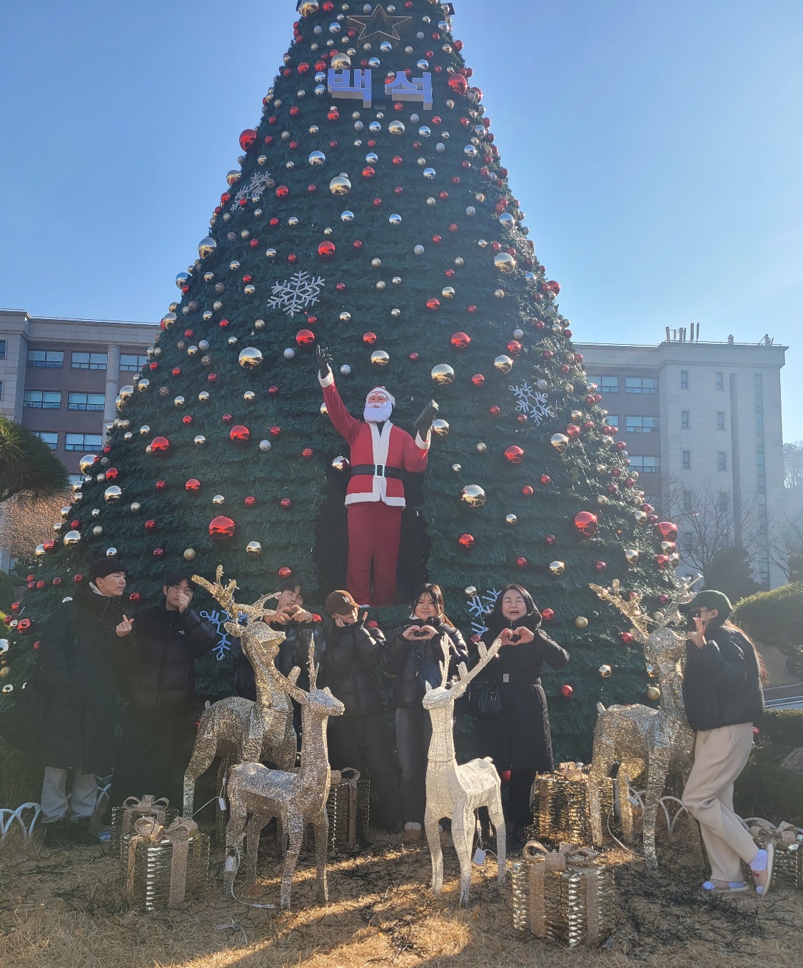 크리스마스 트리 촬영 5번째 첨부파일 이미지